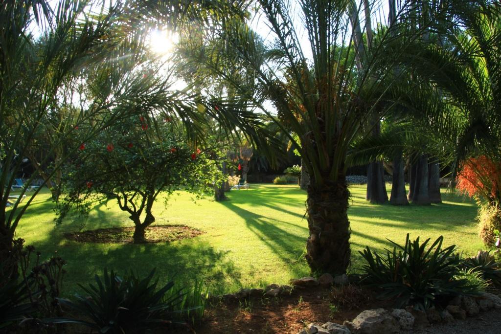 קאן פיקפורט Finca Hotel Predio Son Serra מראה חיצוני תמונה